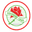 Adamstown Rosebuds