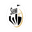 FC Siena