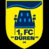 Düren Merzenich logo