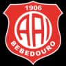 Inter de Bebedouro U20 logo