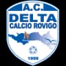 Delta Calcio Rovigo logo