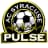 Syracuse Pulse