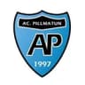 Academia Pillmatun