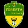 Foresta Suceava