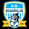 ADG logo