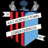 Uckfield Town