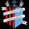 AFC Uckfield