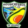 Aguacateros CDU