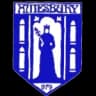 Amesbury Town logo