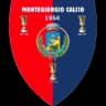 Montegiorgio logo