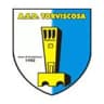 Torviscosa logo
