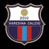 Varesina