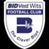 Bidvest Wits logo