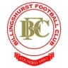 Billingshurst