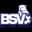 BSV Femenino