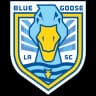 Blue Goose logo