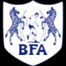 Botsuana Feminino logo
