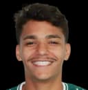 Nathan Melo Silva