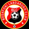 Budafoki MTE