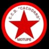 Cachorro