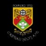 Caerau (Ely) logo