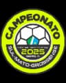 Brazil Sul-Matogrossense logo