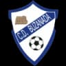Buzanada