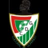 Guarnizo