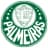 Juventud Palmeiras