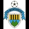 Montañesa