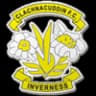 Clachnacuddin