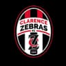 Clarence Zebras