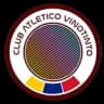 Vinotinto logo