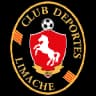 Deportes Limache