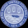 Colliers Wood United
