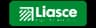 Costa Rica Liga de Ascenso logo