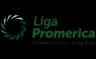 Costa Rica Primera División FPD logo