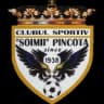 Şoimii Pâncota logo