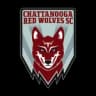 Dalton Red Wolves logo