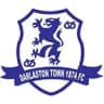 Darlaston Town