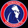 Dorking Wanderers