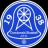 Dundonald Bluebell logo
