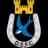 Dungannon Swifts Sub-20