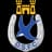 Dungannon Swifts