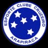 Cruzeiro-AL Sub-20 logo