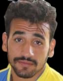 Mohanad Mostafa Lasheen