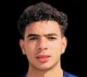 Tarek Alaa