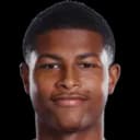 Rhian Brewster