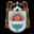 Deportivo Binacional