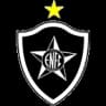 Estrela do Norte